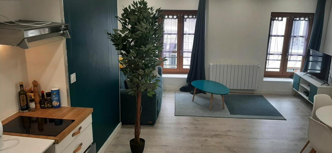 Appartement Netflix Centre De Vienne Pres De Lyon Εξωτερικό φωτογραφία